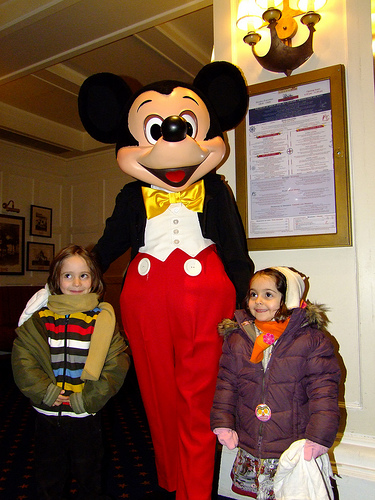 3111155125_8525ee9f44