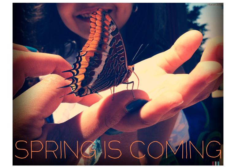 spring is coming-page-001