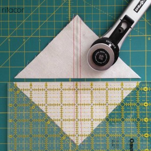 10581812_852134218144558_1750453195_n