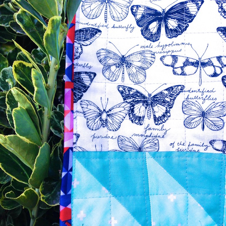 twist & turns of a butterfly