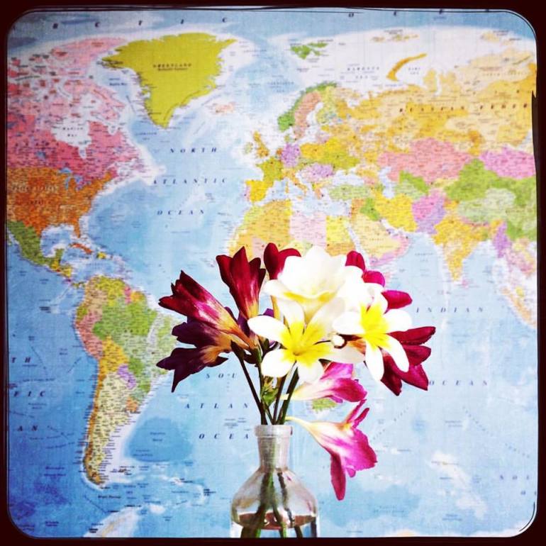 17361727_1442055559152418_7998390690897591204_n