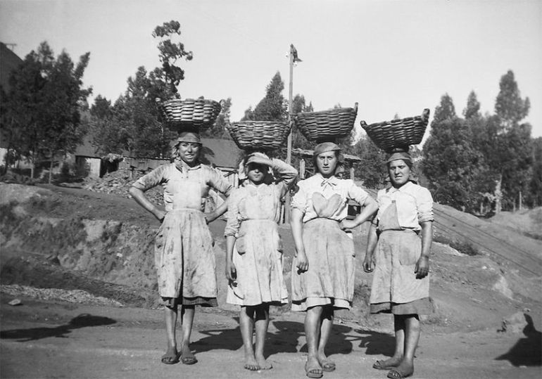 6a00d8341d53d453ef0120a55bda4d970c-800wi